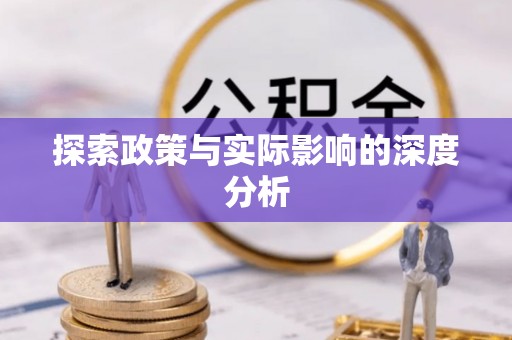 汉源探索政策与实际影响的深度分析