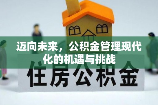 汉源迈向未来，公积金管理现代化的机遇与挑战