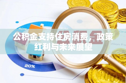 汉源公积金支持住房消费，政策红利与未来展望