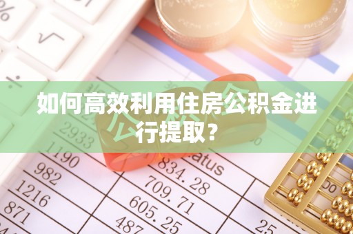 汉源如何高效利用住房公积金进行提取？