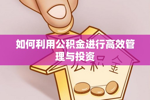 汉源如何利用公积金进行高效管理与投资