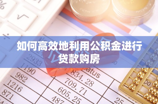 汉源如何高效地利用公积金进行贷款购房
