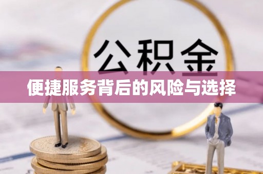 汉源便捷服务背后的风险与选择