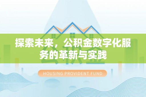 汉源探索未来，公积金数字化服务的革新与实践