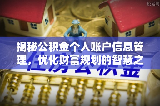汉源揭秘公积金个人账户信息管理，优化财富规划的智慧之选