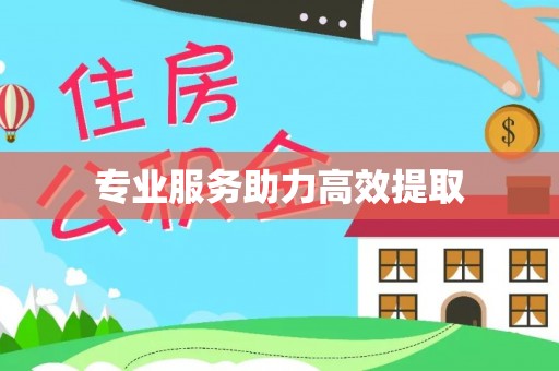 汉源专业服务助力高效提取
