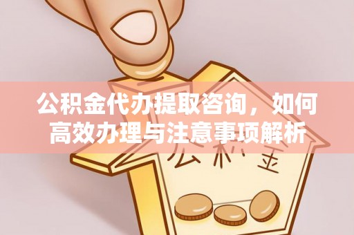汉源公积金代办提取咨询，如何高效办理与注意事项解析