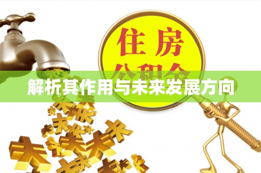 汉源解析其作用与未来发展方向