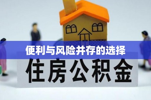 汉源便利与风险并存的选择