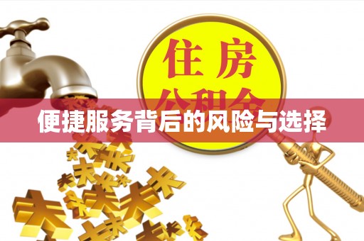 汉源便捷服务背后的风险与选择