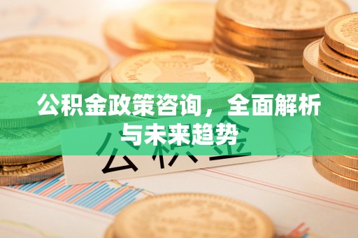 汉源公积金政策咨询，全面解析与未来趋势