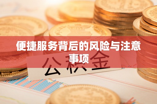汉源便捷服务背后的风险与注意事项